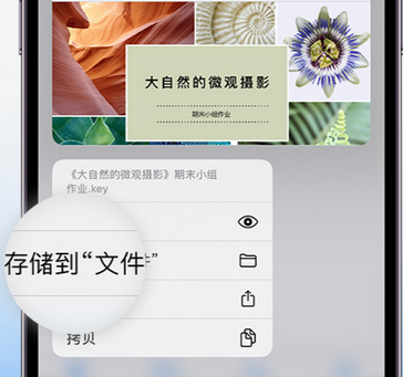 石阡apple维修中心分享iPhone文件应用中存储和找到下载文件