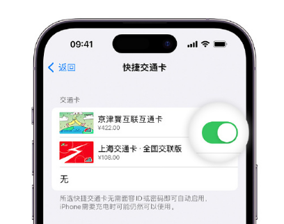 石阡apple维修点分享iPhone上更换Apple Pay快捷交通卡手绘卡面 