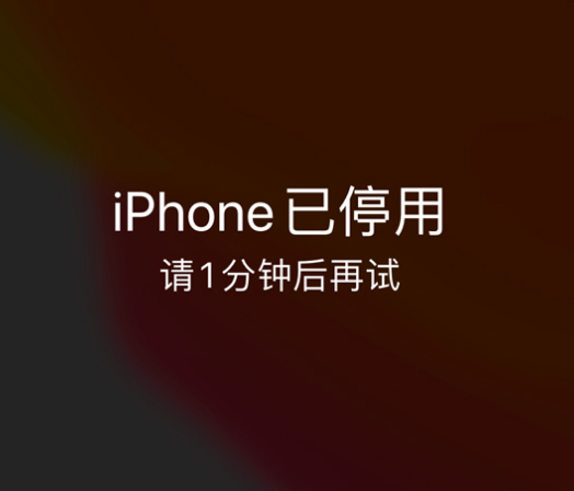 石阡苹果手机维修分享:iPhone 显示“不可用”或“已停用”怎么办？还能保留数据吗？ 