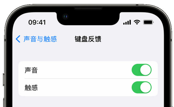 石阡苹果手机维修分享iPhone 14触感键盘使用方法 