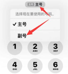 石阡苹果14维修店分享iPhone 14 Pro Max使用副卡打电话的方法 