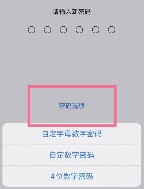 石阡苹果14维修分享iPhone 14plus设置密码的方法 