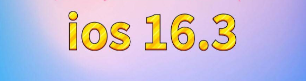 石阡苹果服务网点分享苹果iOS16.3升级反馈汇总 