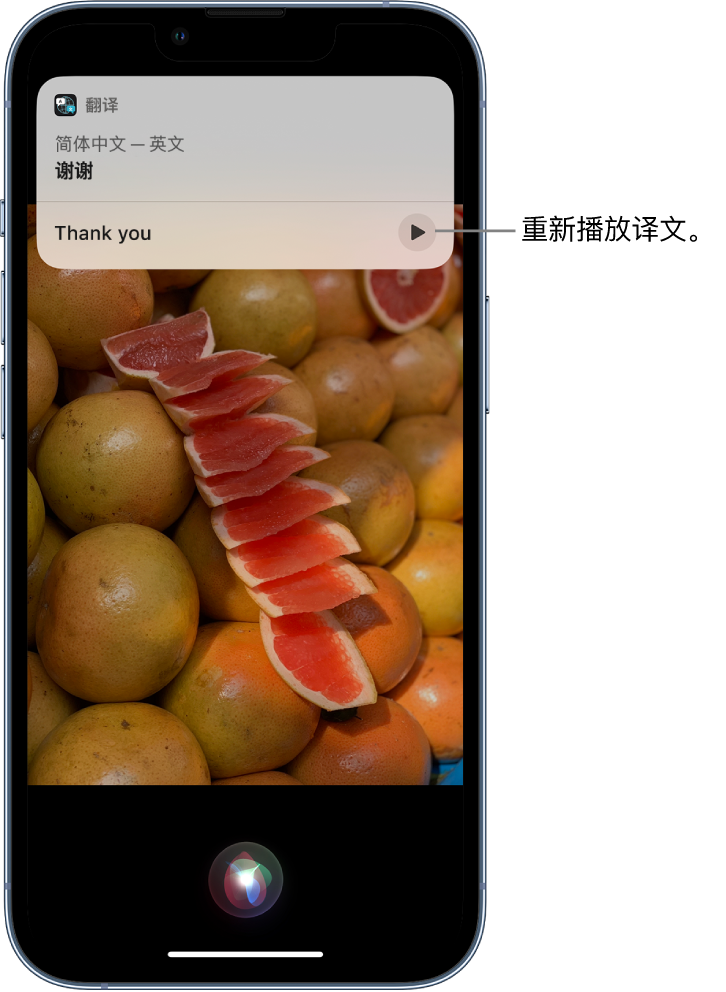 石阡苹果14维修分享 iPhone 14 机型中使用 Siri：了解 Siri 能帮你做什么 