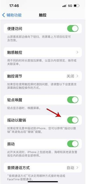 石阡苹果手机维修分享iPhone手机如何设置摇一摇删除文字 